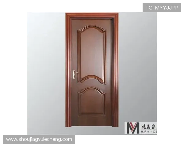 ag8亚游国际最新安全措施详解确保每位玩家的资金与信息安全